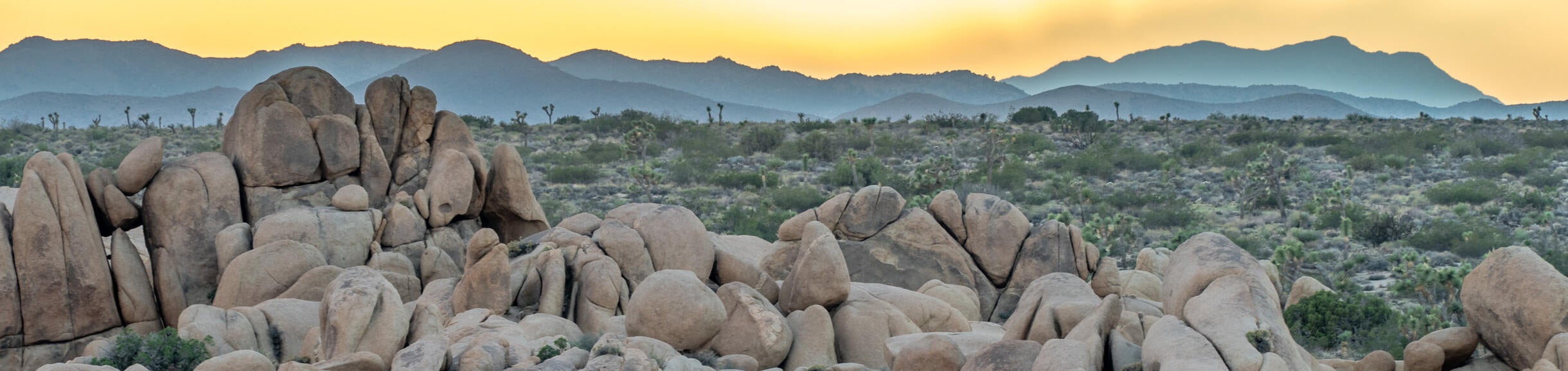 A desert landscape with rocks