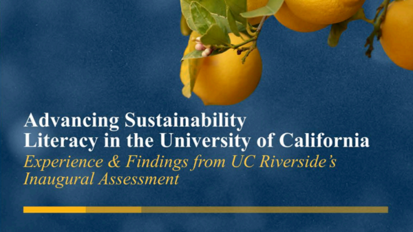 Sustainability_Cover_Publications